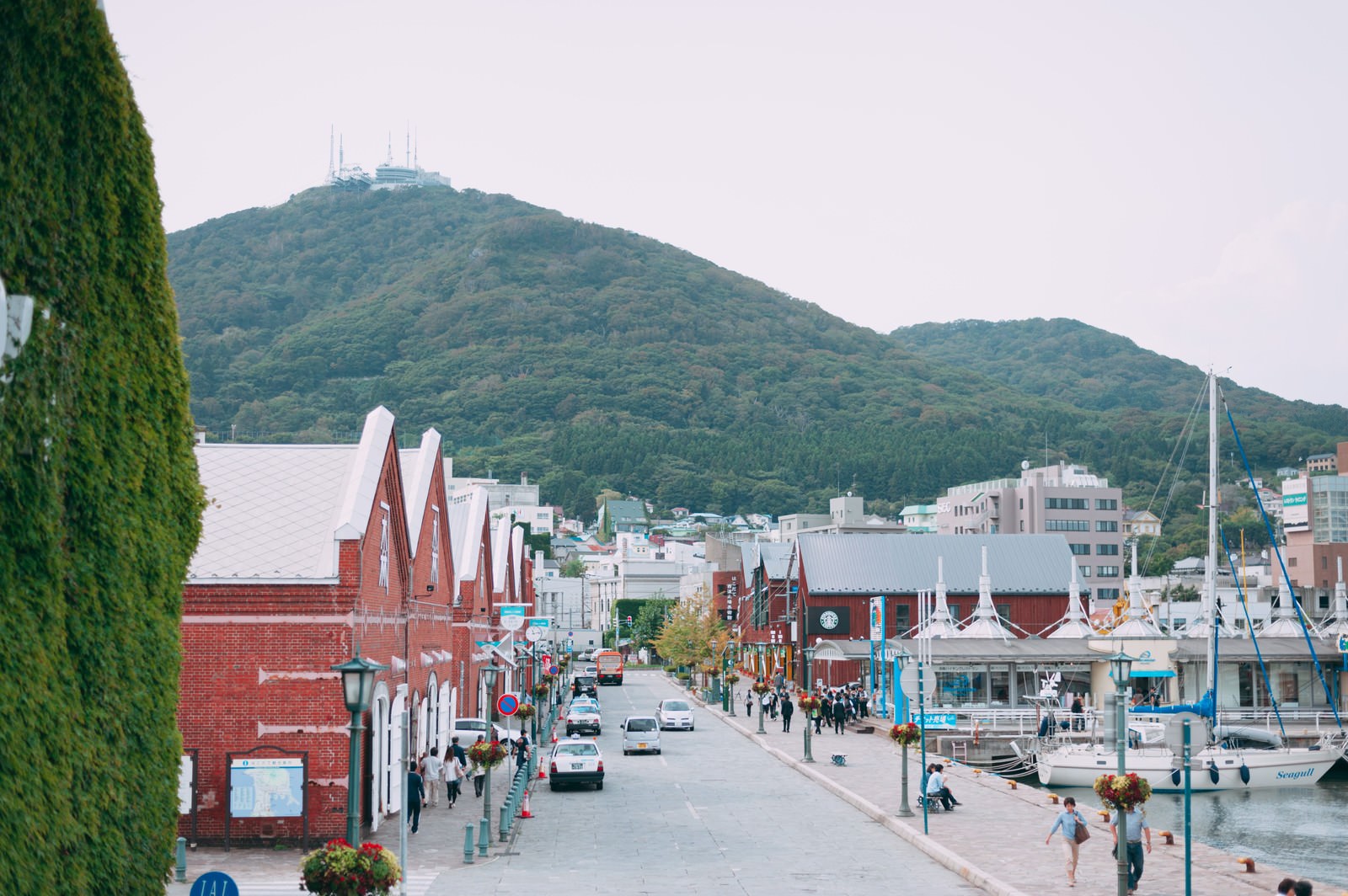 函館市内 赤レンガ倉庫と函館山の風景